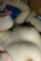 Crot di Mulut Crot Di Mulut Pacar Binal